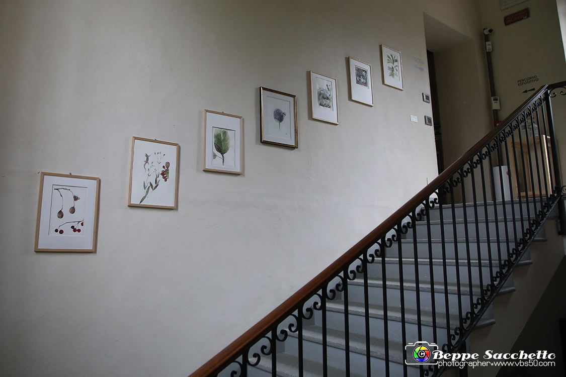 VBS_1693 - Castello di Miradolo - Mostra Oltre il giardino l'Abbecedario di paolo Pejrone.jpg